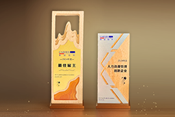 JN江南JN SPORTS国际一举斩获“2024年度中国区最佳雇主”等多项大奖